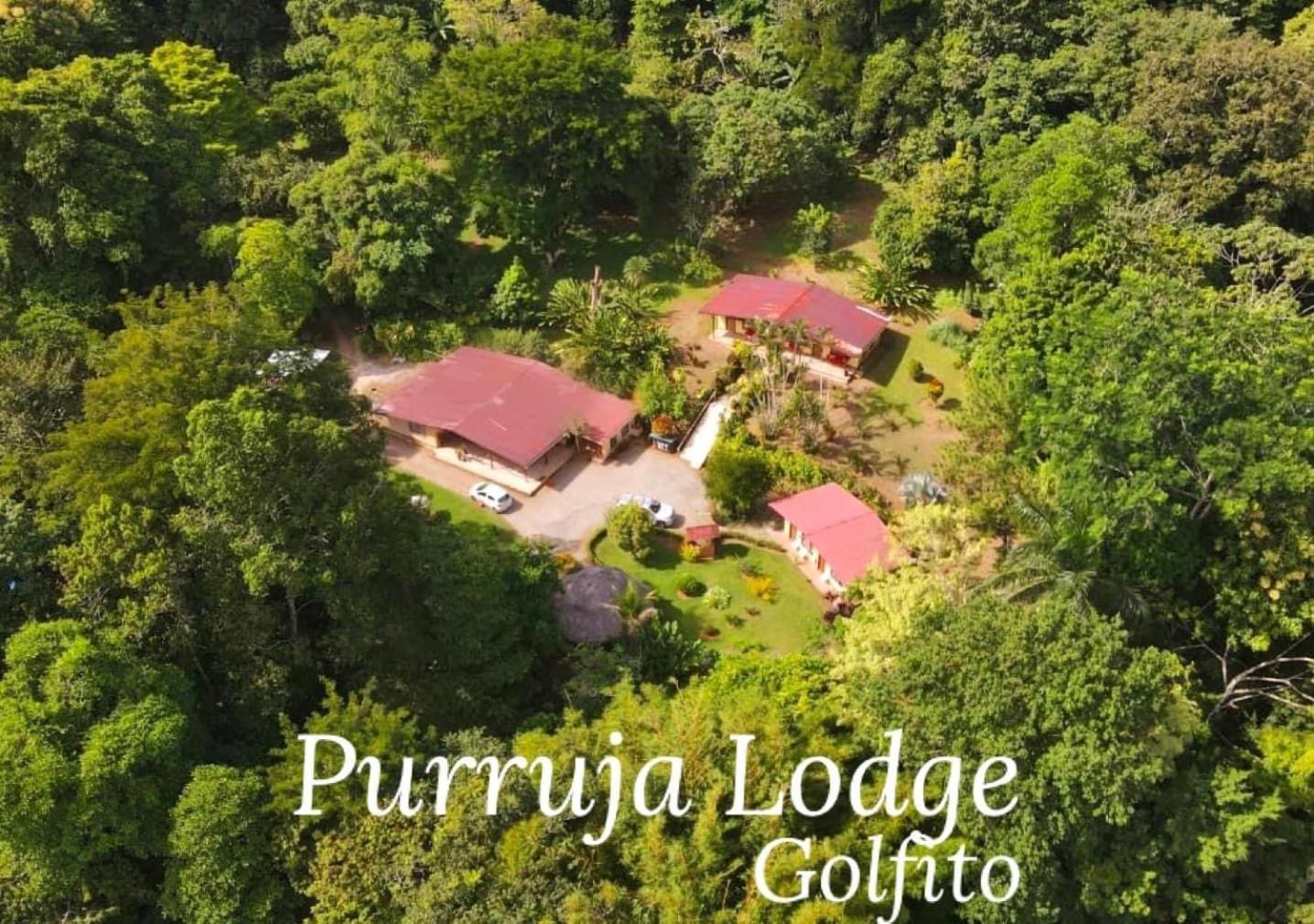 La Purruja Lodge Голфито Екстериор снимка
